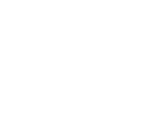 TLZ 04. November 2015